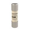 PHP-Protistor-10x38-gR